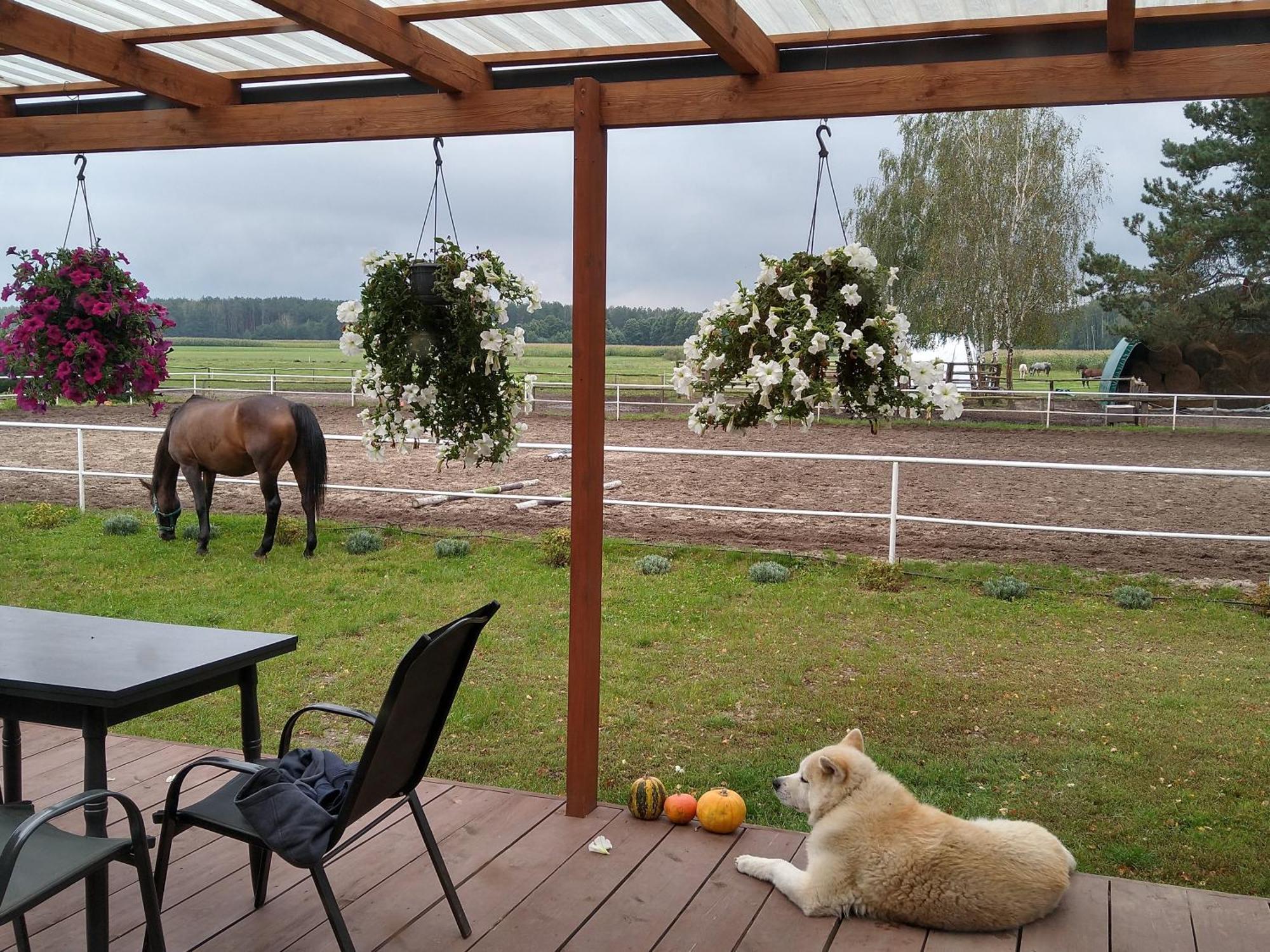 Domek Przy Stajni Bogdanowka Caloroczny Rossosz ภายนอก รูปภาพ